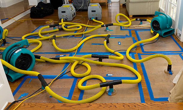 Professional Storm Water Damage Restoration technician working in Madelia, MN